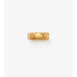 Anello con segmento di scudo