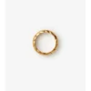 Anello con segmento di scudo