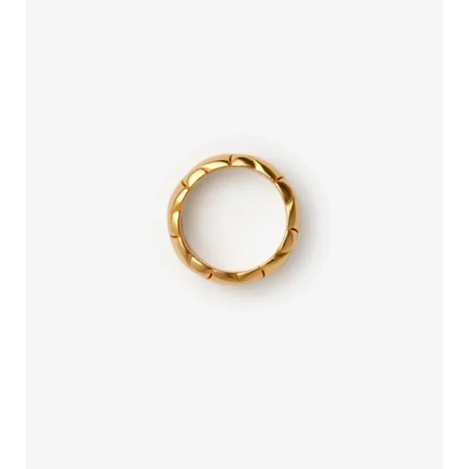 Anello con segmento di scudo