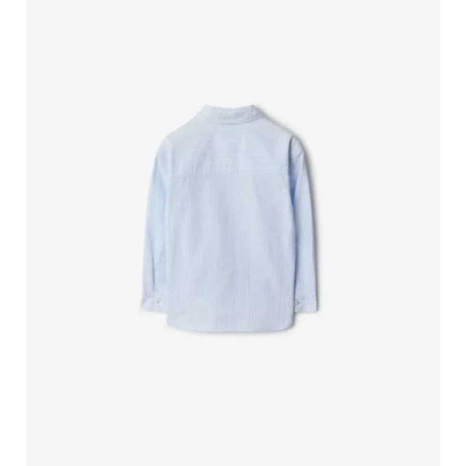 Camicia Oxford in cotone a righe