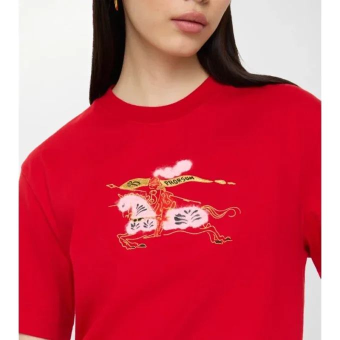 T-shirt in cotone Ekd