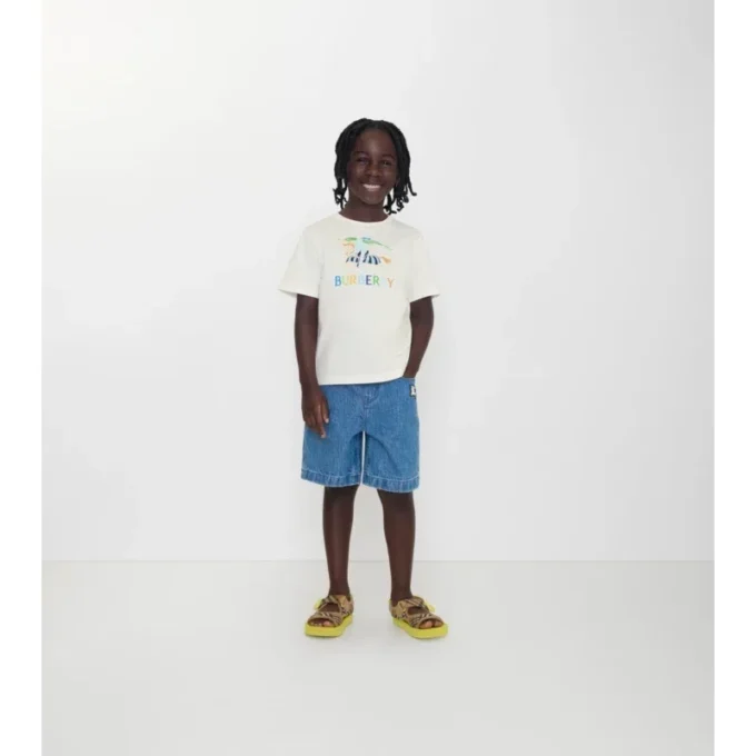 T-shirt in cotone EKD multicolore