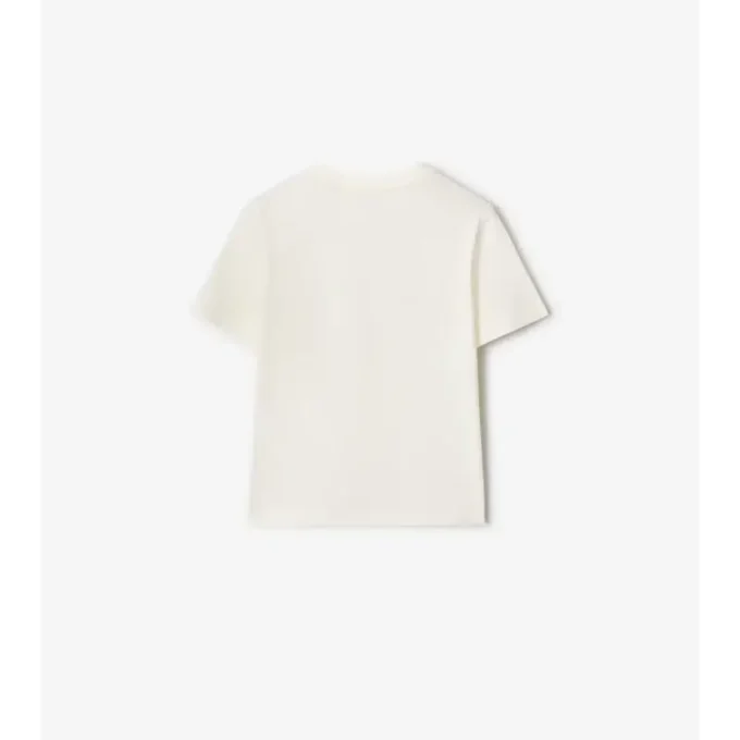 T-shirt in cotone Surfer Bear
