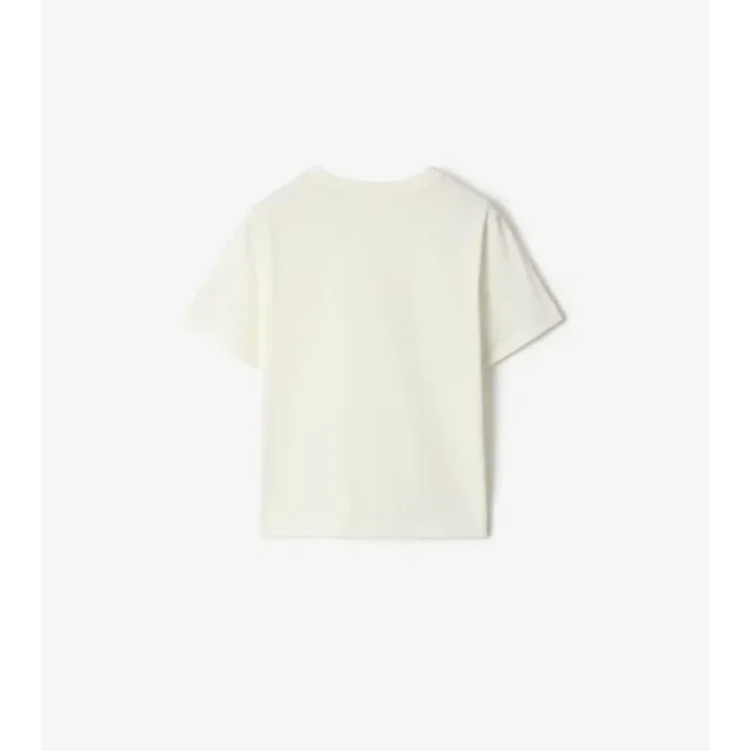 T-shirt in cotone Surfer Bear