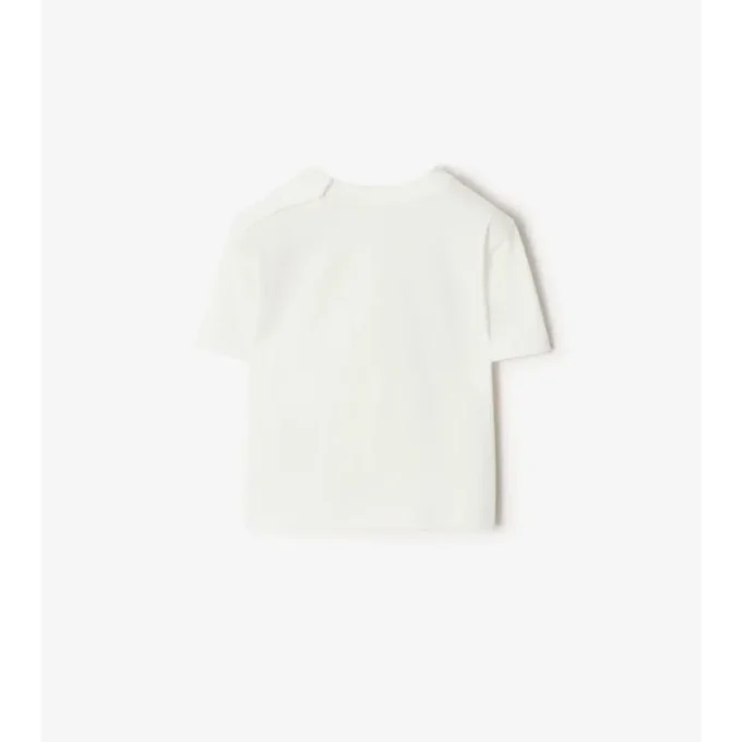 T-shirt in cotone Surfer Bear