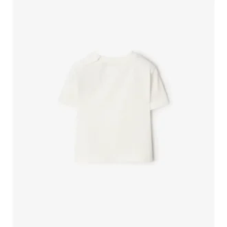 T-shirt in cotone Surfer Bear
