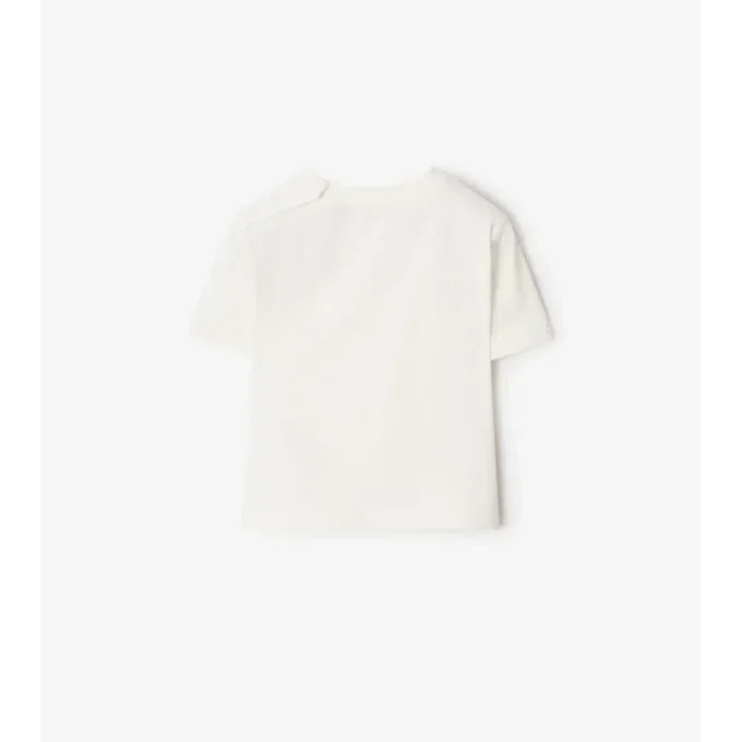 T-shirt in cotone Surfer Bear